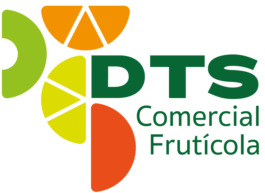 Cliente DTS